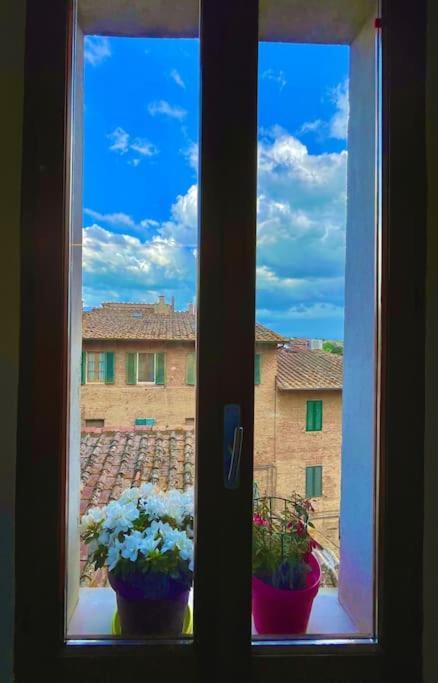 Suite19 Siena Centro Storico מראה חיצוני תמונה